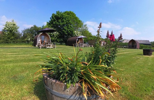 Moreton Cottage | Blossom