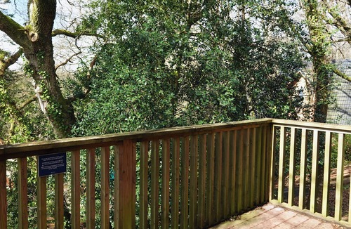 Liverton Cottage | BRACKEN LODGE, pet friendly, country holiday cottage in Chudleigh