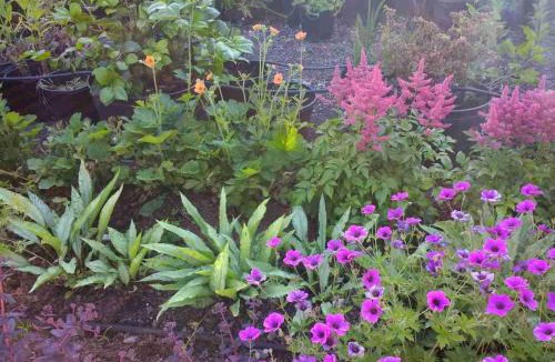 Tiverton Bed & Breakfast | Brambles Bed and Breakfast