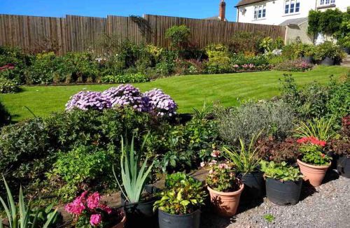 Tiverton Bed & Breakfast | Brambles Bed and Breakfast