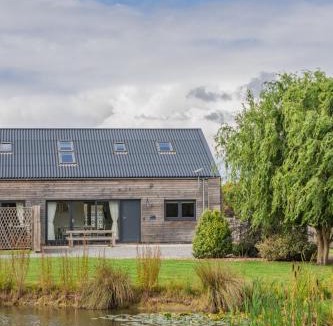 Boston House | Bumblebee