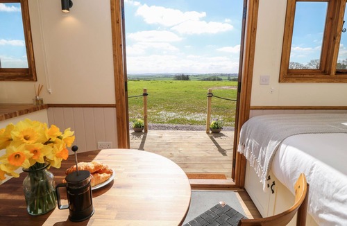 Crediton Cottage | Buzzards