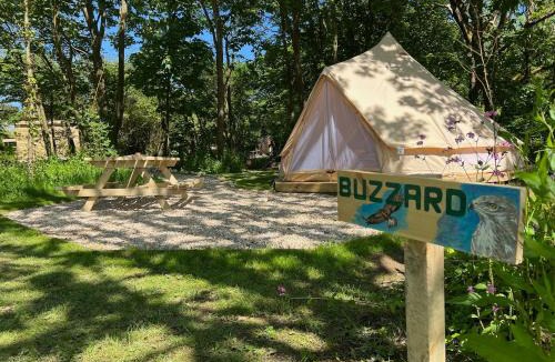 Ventnor Other | Camp Corve