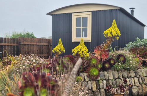 St Just Apartment | Cape Cornwall Shepherds hut with vast sea views