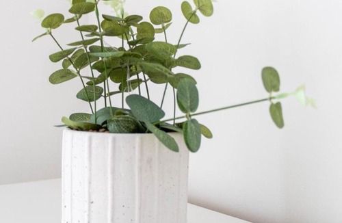 Dumbarton Apartment | Castlegreen Apartment