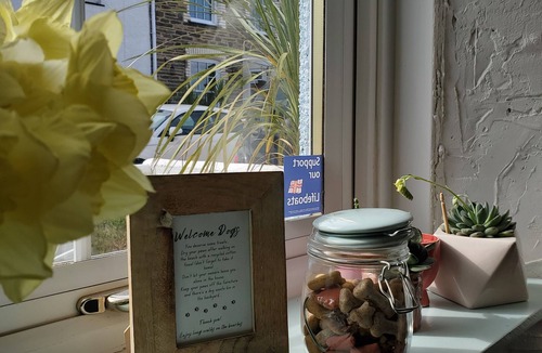 Newquay Cottage | Central Newquay Cottage: Quiet Street Close to Beaches, Shops & Dog-Friendly