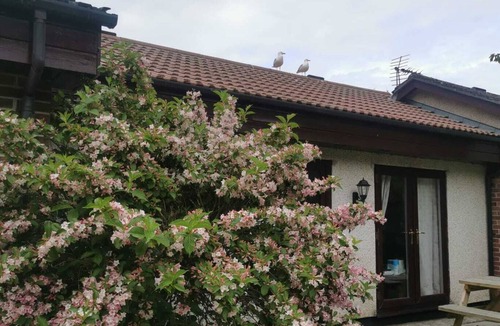 St Erth Praze House | Charming 2-bedroom bungalow in Saint Erth Praze perfect for relaxing