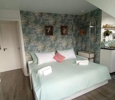 Latchmere Apartment | Charming Top-Floor Studio with Sunroom 8 Mins to Clapham Junction