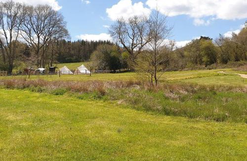 Piltdown House | Cherry Pip