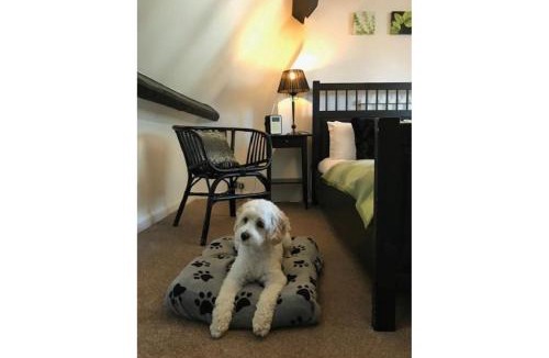 West Cliff House | Cobble Cottage