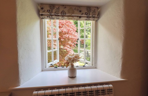 Rydal Cottage | Daffodils