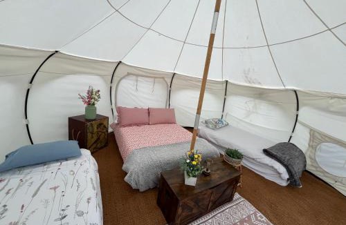 Faringdon Other | Daisy Bell tent
