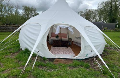 Faringdon Other | Daisy Bell tent
