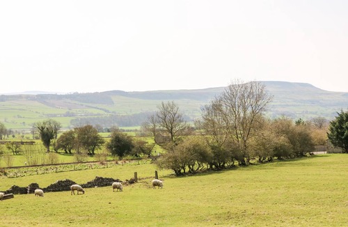 Leyburn Cottage | Daisy Cottage