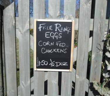 Penrith Bed & Breakfast | Daleholme