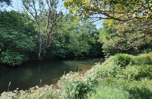Dinas Mawddwy Bed & Breakfast | Dolbrodmaeth Riverside