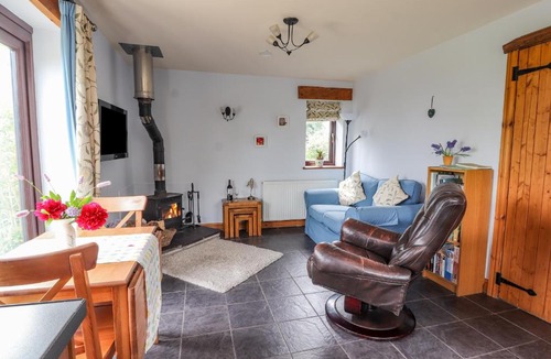 Dolphin House | Dolphin Bach