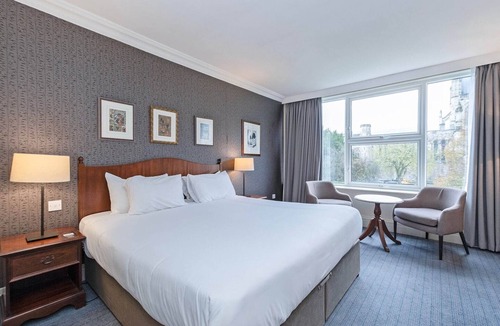 Winchester Hotel | Executive Double Room