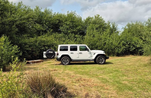 Sticklepath House | Forest View