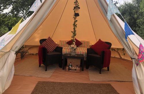 Denstone Other | Glamping with Alpacas! - Alton Towers