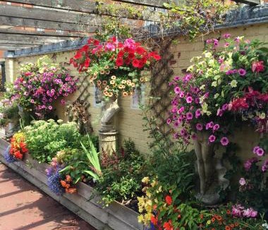 Halstead Hotel | Halstead Rooms