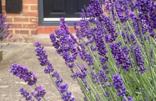 Catterick Garrison House | Hambleton Road