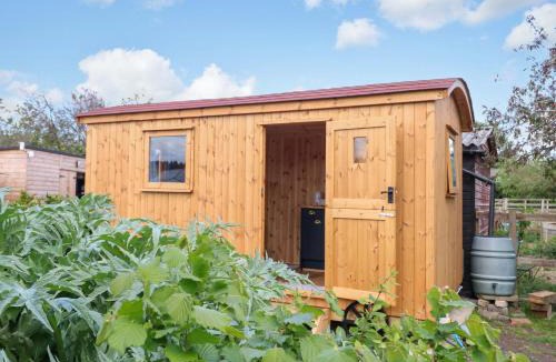 Welney House | Hazel
