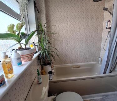 Exeter House | Heavitree Park
