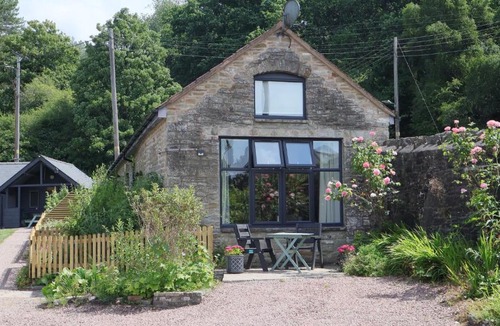 Parkend House | Horse Gin