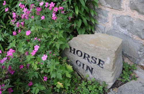 Parkend House | Horse Gin