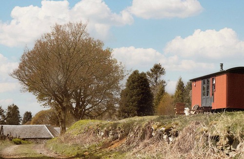Pitlochry Cottage | Lapwing Shepherds Hut - UK7631