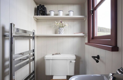 Pitlochry Cottage | Lapwing Shepherds Hut - UK7631