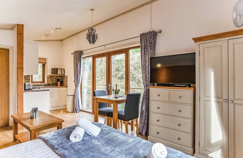Caerwys Ski Chalet | Large modern studio lodge with one double.