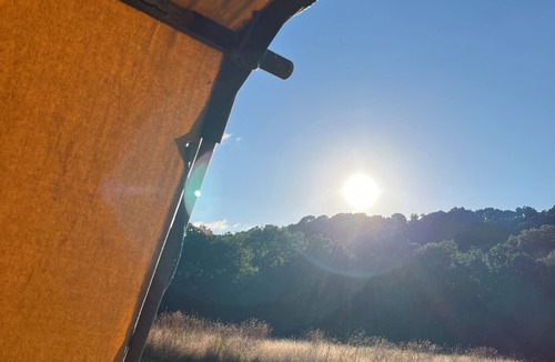 Cullompton RV Rental | Little bridge Camp. Secluded camping in 13 acres of magical meadow and woodland.