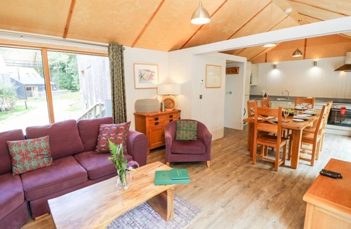 Corfe Castle Cabin | Lodge 21, Corfe Castle