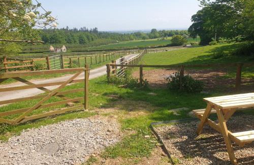 Richmond Other | Lowgingerfield Shepherd Hut