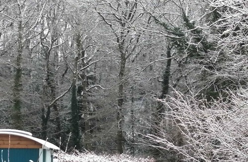 Longdown Cabin | Luxury Shepherds Hut Retreat in Devon near Exeter & Dartmoor. Views into woods.