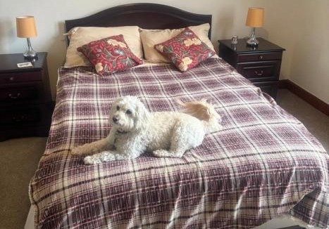 Carradale Apartment | Lynndale