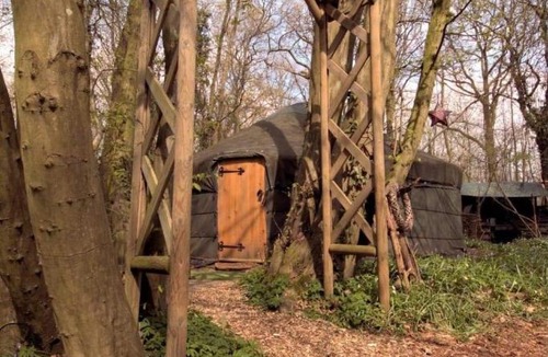 Broad Oak Other | Magical Forest yurt