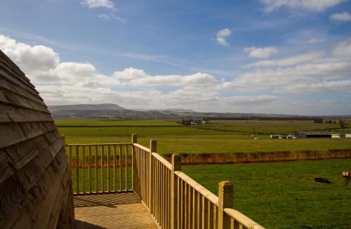 Kippen Other | Mains Farm
