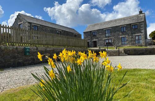 St Teath House | Marhayes