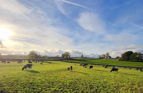 Aysgarth House | Meadow View