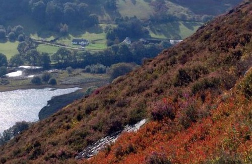 Llandrindod Wells Hotel | Metropole Hotel and Spa