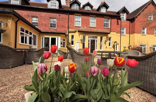 Burley Hotel | Moorhill House Hotel