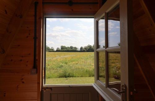 Woodbridge House | Oak Tree