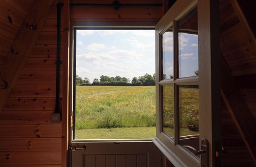 Woodbridge Cottage | Oak Tree