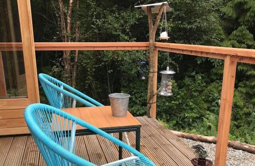 Kilmun House | Off Grid Cabin Sleeps 2 Pets Ok 20 min to Dunoon