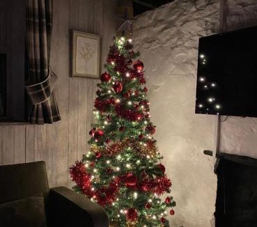 Bridgend House | Old Nursery