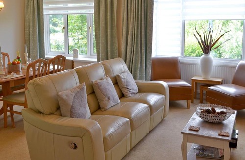 Hoveton House | Otters