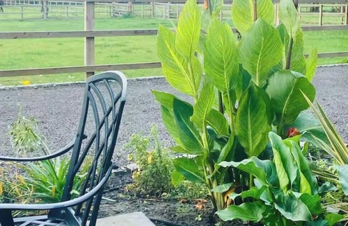 Bedford House | Peace and tranquility. 10 mins from Bedford, 15 mins from Milton Keynes